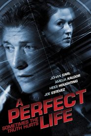 พิศวาสสีเลือด A Perfect Life (2011)