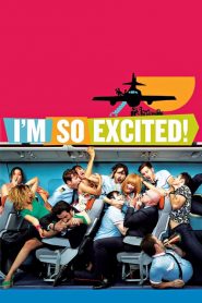 ไฟลท์แสบแซ่บเหมาลำ I’m So Excited! (2013)