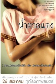 น้ำตาลแดง 1 Brown Sugar (2010)