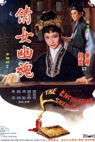 วิญญาณรักปีศาจสาว The Enchanting Shadow (1960)