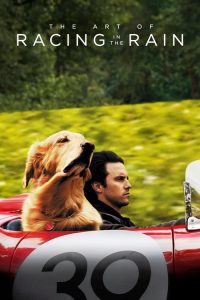 อุ่นไอหัวใจตูบ The Art of Racing in the Rain (2019)
