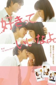 พูดว่ารักกับฉันซิ Say ‘I Love You’ (2014)