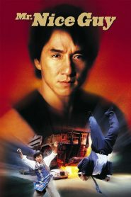 ใหญ่ทับใหญ่ Mr. Nice Guy (1997)