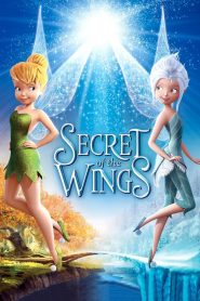 ความลับของปีกนางฟ้า Secret of the Wings (2012)