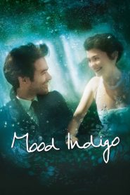 รักนี้มหัศจรรย์ Mood Indigo (2013)