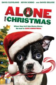 แก๊งน้องหมาโดดเดี่ยวผู้น่ารัก Alone for Christmas (2013)