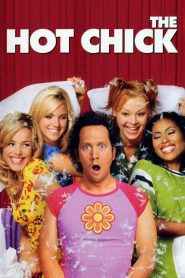 ว้าย!…สาวฮ็อตกลายเป็นนายเห่ย The Hot Chick (2002)