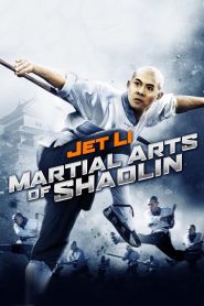 เสี้ยวลิ้มยี่ 3 มังกรน่ำปั๊ก Martial Arts of Shaolin (1986)