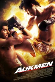 ท้าชนคนเดือด Down for the Count (2012)