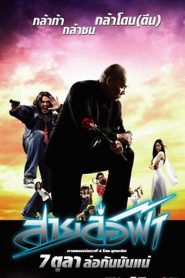 สายล่อฟ้า Lightning Rod (2004)