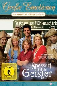 คฤหาสน์ผวา Spook Inn (2010)