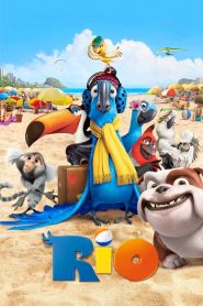 ริโอ เดอะ มูฟวี่ เจ้านกฟ้าจอมมึน Rio (2011)