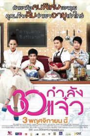 30 กำลังแจ๋ว Fabulous 30 (2011)