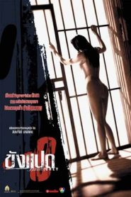 ขังแปด Butterfly in Grey (2002)