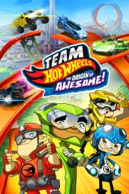 ขบวนการซิ่งมหากาฬ Team Hot Wheels: The Origin of Awesome! (2014)