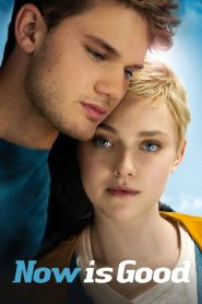 ขอบคุณวันนี้ที่เรายังมีเรา Now Is Good (2012)