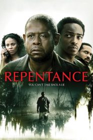 กระตุกจิตอำมหิต Repentance (2014)