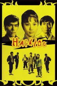 พยัคฆ์สาวหมัดเหล็ก Hapkido Lady Kung Fu (1972)
