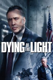 ปฏิบัติการล่า เด็ดหัวคู่อาฆาต Dying of the Light (2014)