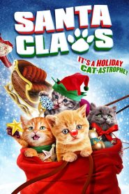 น้องเหมียวแซนต้า ภารกิจขนปุย Santa Claws (2014)