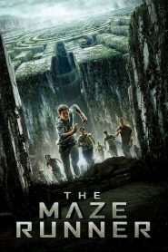 เมซ รันเนอร์ วงกตมฤตยู The Maze Runner (2014)