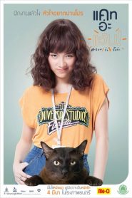 แคท อะแว้บ แบบว่ารักอ่ะ Cat A Wabb (2015)