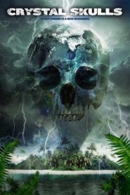 12 กะโหลกหยุดหายนะโลก Crystal Skulls (2014)