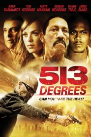 ล่าเดือด ปล้นดิบ Five Thirteen (2013)
