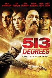 ล่าเดือด ปล้นดิบ Five Thirteen (2013)