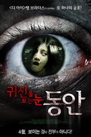 ผีทะลุตา 3 มิติ The Child’s Eye (2010)