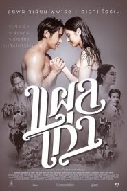 แผลเก่า The Scar (2014)