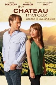 มนต์รักไร่องุ่น The Chateau Meroux (2011)