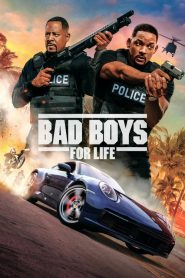 คู่หูตลอดกาล ขวางทางนรก Bad Boys for Life (2020)