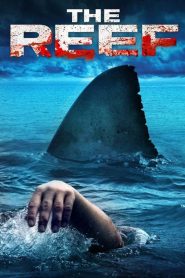 ครีบสยองทะเลเลือด The Reef (2010)