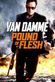 มหาประลัยทวงเดือด Pound of Flesh (2015)