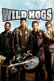 สี่เก๋าซิ่งลืมแก่ Wild Hogs (2007)