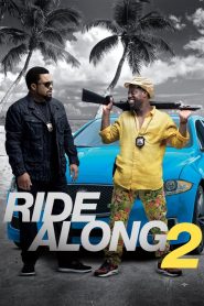 คู่แสบลุยระห่ำ 2 Ride Along 2 (2016)