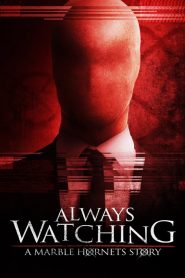 หลอนไร้หน้า Always Watching: A Marble Hornets Story (2015)