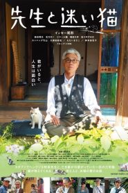 กลับบ้านเถอะนะ…เจ้าเหมียว Finding Calico (2015)