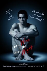 คืนนั้น Red Wine in the Dark Night (2015)