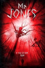 บ้านกระชากหลอน Mr. Jones (2013)