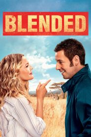 ทริปอลวน รักอลเวง Blended (2014)