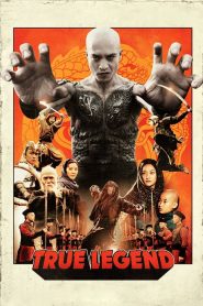 ยาจกซู ตำนานหมัดเมา True Legend (2010)