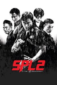 โหดซัดโหด Kill Zone 2 (2015)