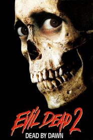 ผีอมตะ 2 ไปเกิดซะเถิดไป๊ Evil Dead II (1987)