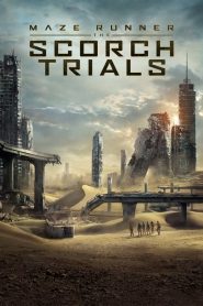 เมซ รันเนอร์ สมรภูมิมอดไหม้ Maze Runner: The Scorch Trials (2015)
