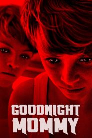 แม่ครับ หลับซะเถอะ Goodnight Mommy (2014)