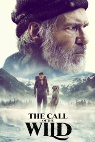 เสียงเพรียกจากพงไพร The Call of the Wild (2020)