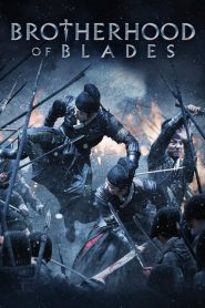 มังกรพยัคฆ์ ล่าสะท้านยุทธภพ Brotherhood of Blades (2014)