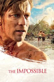 2004 สึนามิ ภูเก็ต The Impossible (2012)